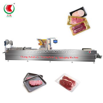 Thermoforming Vacuum Skin Packaging Machine